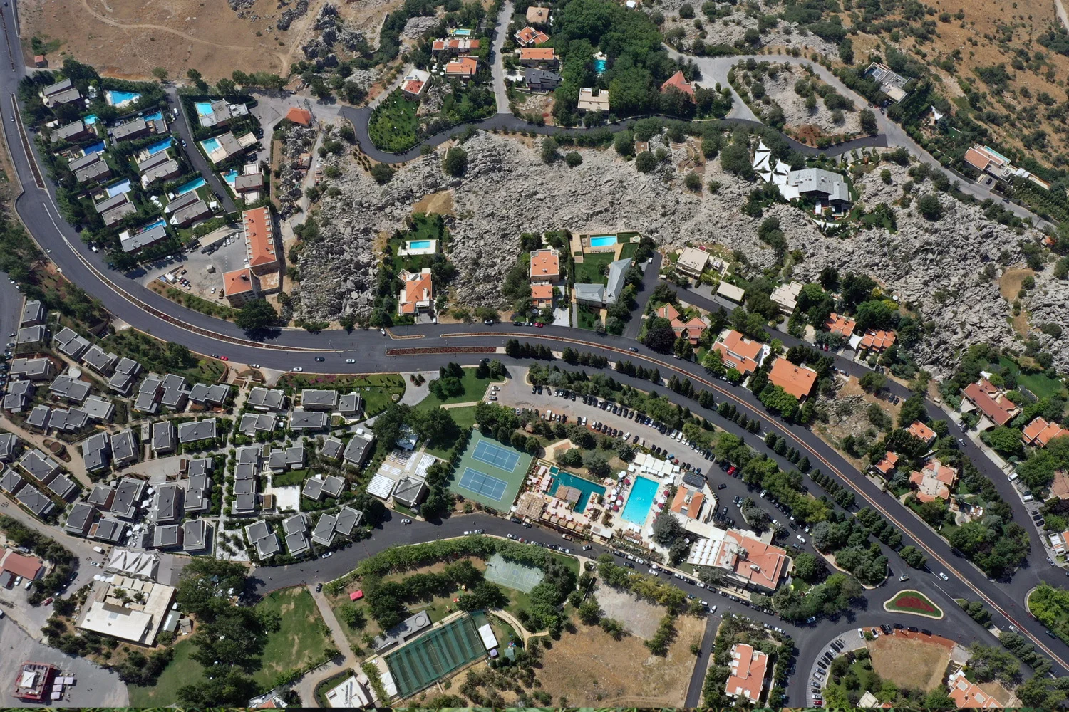 Дворовые территории: увязка решений с деревьями